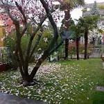 Bf Foresteria Bellusci